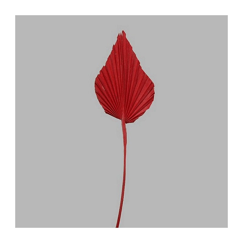 Waaier blad op een stok kleur rood 47 x 10 cm