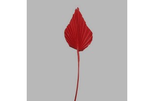 Chinois fan feuille sur un bâton couleur rouge 47 x 10 cm