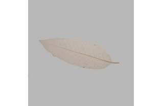 Feuille squelette couleur naturelle 25 x 9 cm 5 pcs