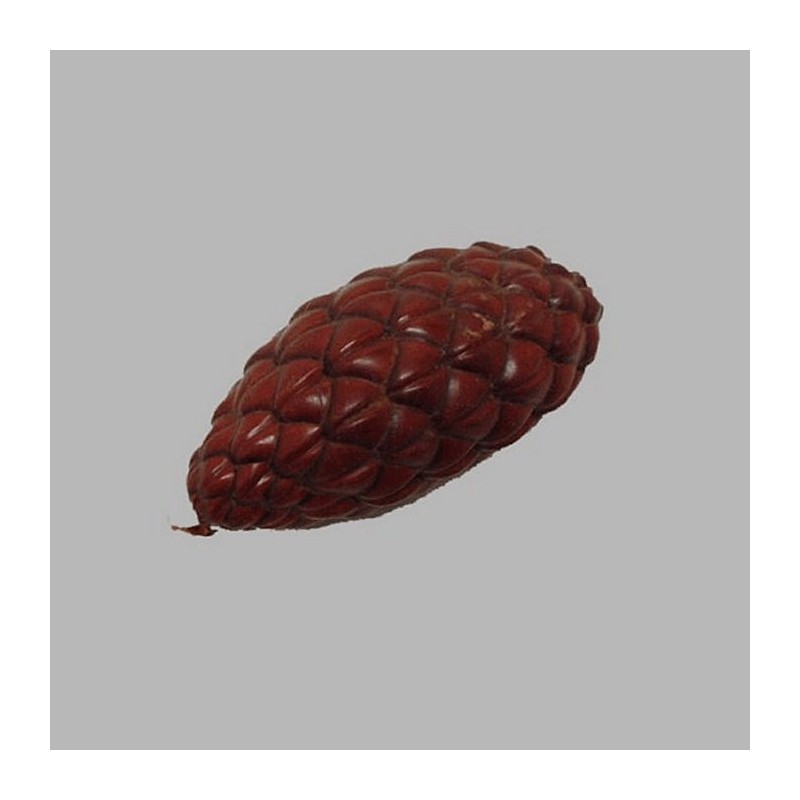 Sier dennenappel kleur bruin lengte 10 cm 40 mm Sier dennenappel kleur bruin lengte 10 cm 40 mm