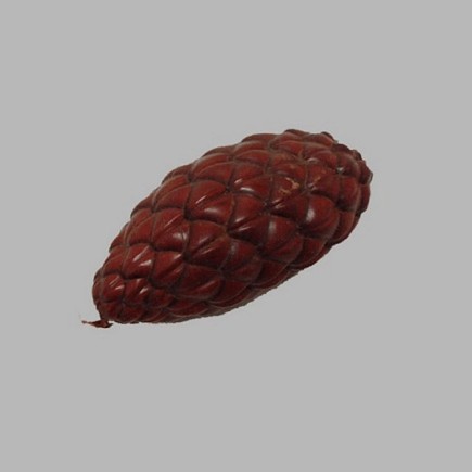 Sier dennenappel kleur bruin lengte 10 cm 40 mm