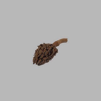 Cône de pin séché rugueux longueur 9 cm 5 pcs