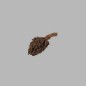 Cône de pin séché rugueux longueur 9 cm 5 pcs