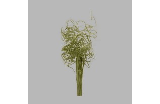 Fijne takjes gekruld kleur groen lengte 35 cm per bundel