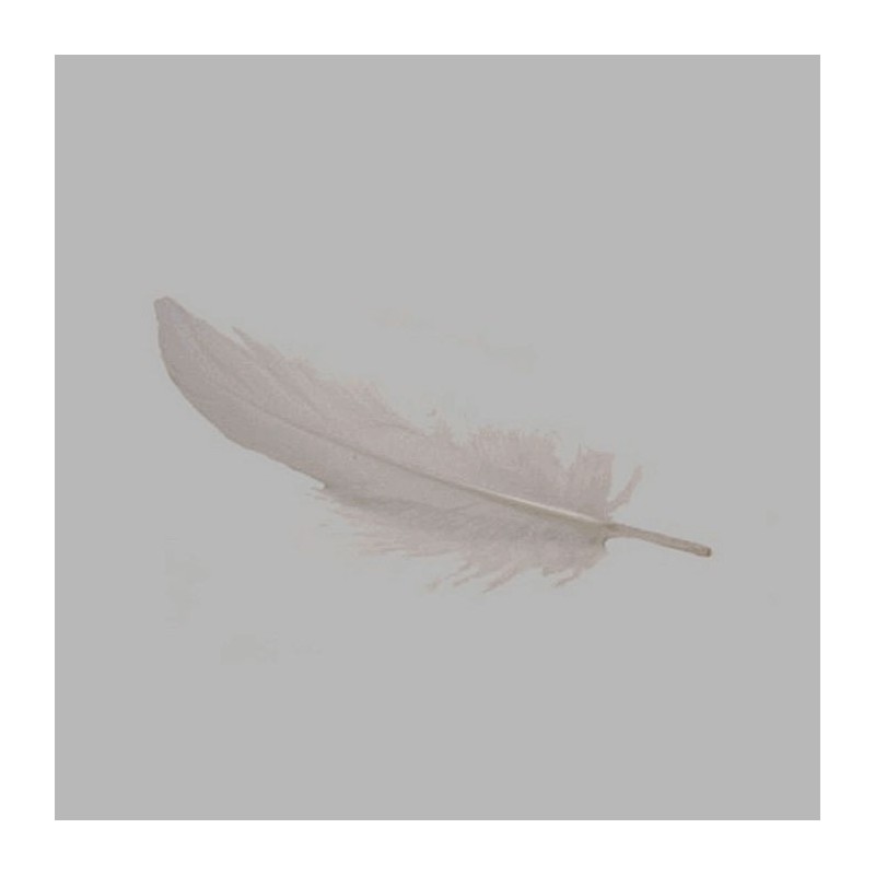 feathers for decoration color white 15 g