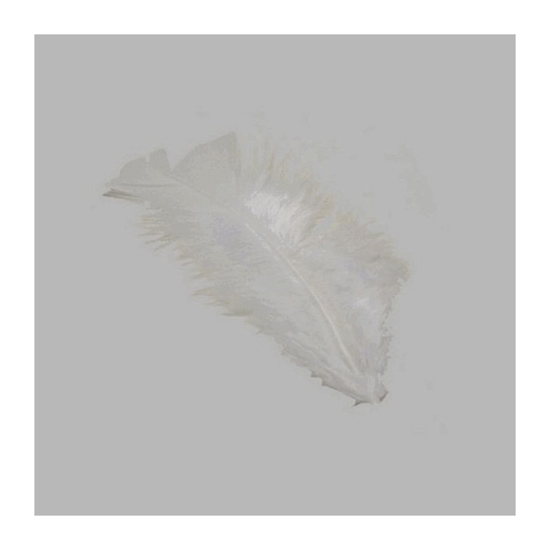 feathers for decoration color white small size