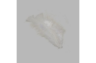 plumes pour la décoration couleur blanche petite taille