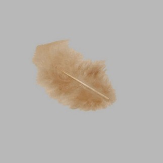 feathers for decoration color light brown small size