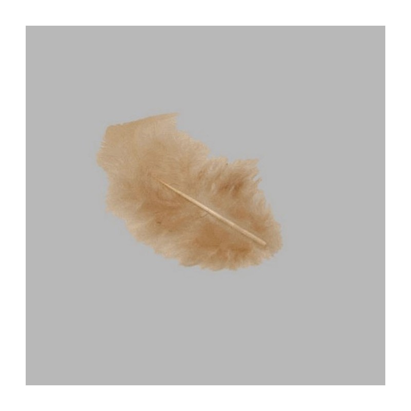 feathers for decoration color light brown small size