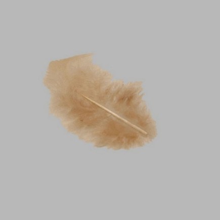 plumes pour la décoration couleur brun clair de petite taille