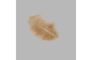 feathers for decoration color light brown small size