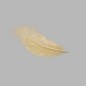 plumes pour la décoration couleur crème petite taille