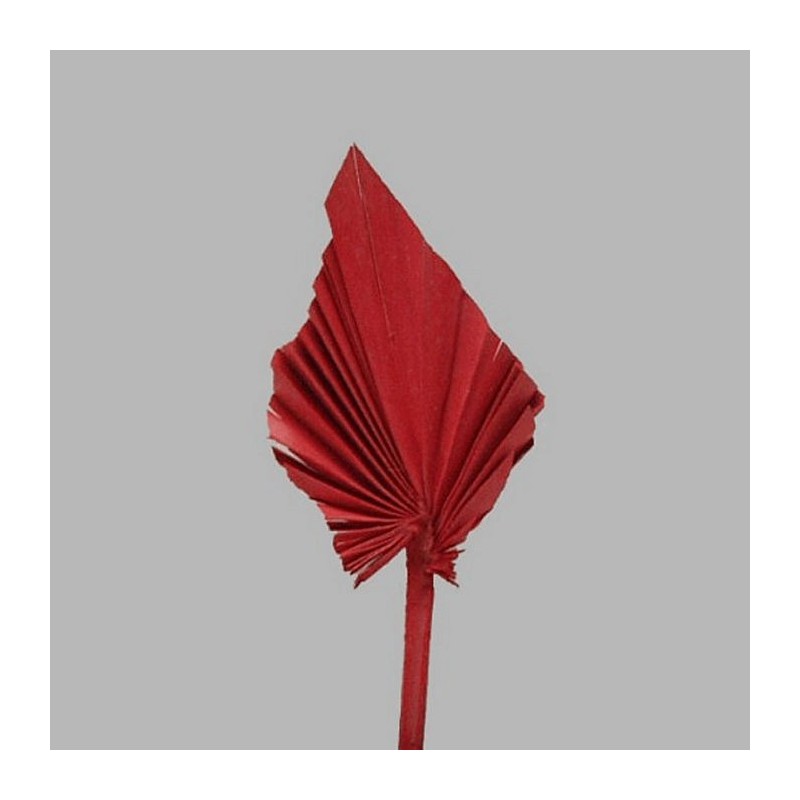 chinese fan leaf on a stick color red 26 x 10 cm 2 stuks