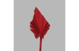 waaier blad op een stok kleur rood 26 x 10 cm 2 stuks