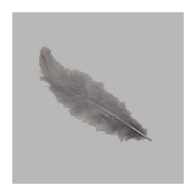 feathers for decoration color grey 5 g