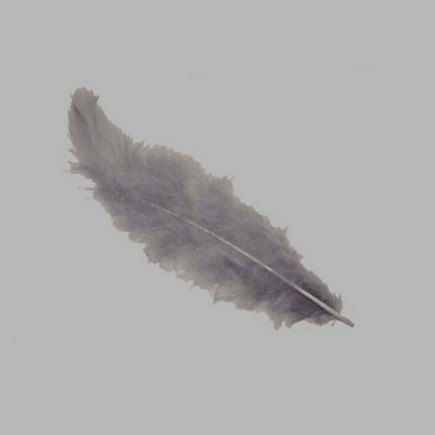 veertjes voor decoratie kleur grijs 5 gr