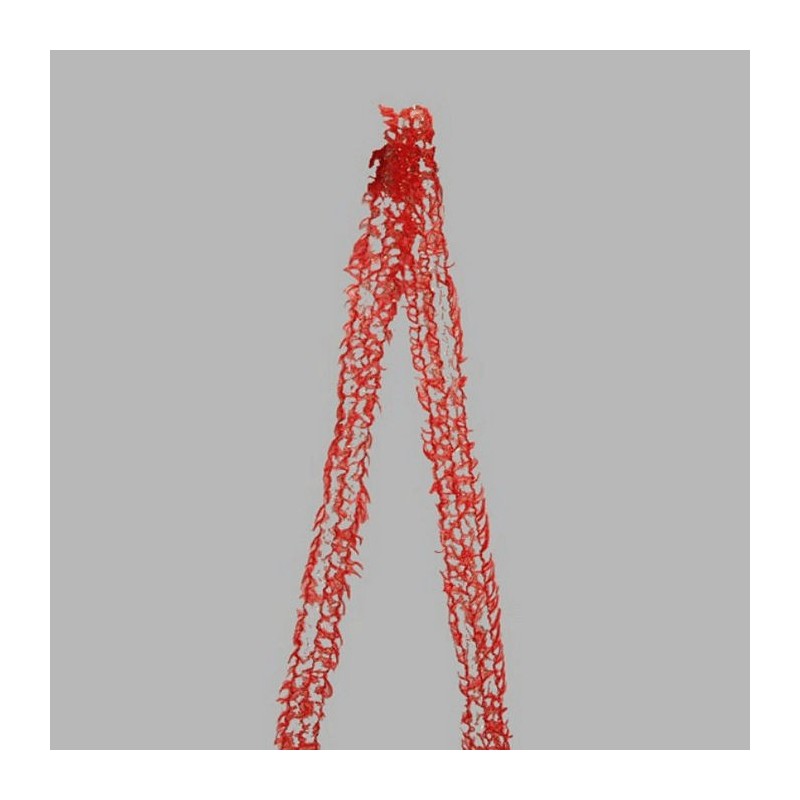 Decoration ribbon of fabric red gold frayed design width 25 mm