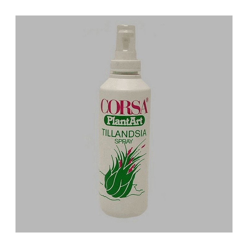 Tillandsia plant nutrition pulvérisateur 250 ml