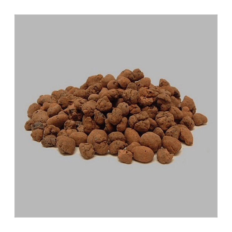 grains de petites centrales hydro 1 litre