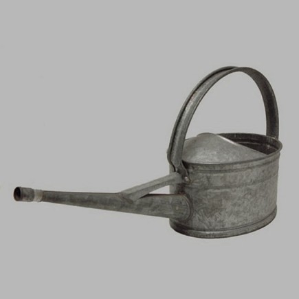 zinken ovale watergieter kleur mat 62 x 30 cm