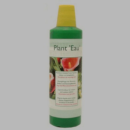 eau de la plante avec des nutriments 500 ml