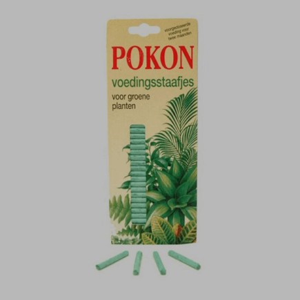 aliments bâtons pour les plantes vertes 25 bâtons