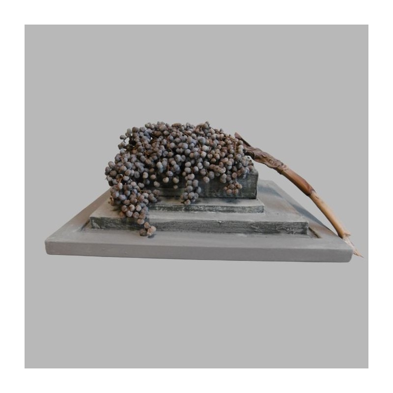 Poudre peinte avec peinture décorative et branche de datte décorative Poudre peinte avec peinture décorative et branche de datte décorative