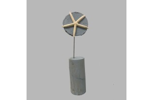 Zeester op geverfd hout in Casper bleu