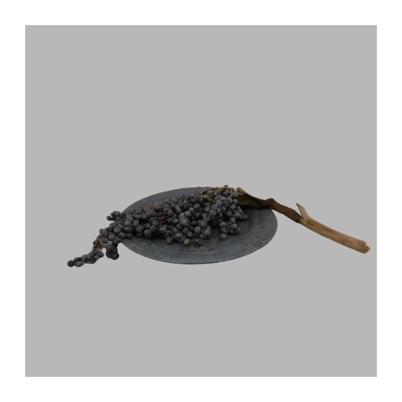 Bol peint en technique de zinc avec branche de datte Bol peint en technique de zinc avec branche de datte