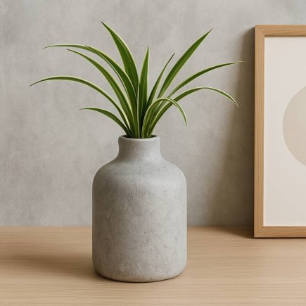 Kit de peinture effet béton – jusqu’à env. 1,5 m²  pour meubles et accessoires
