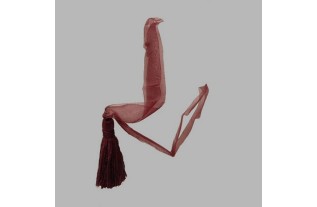 Embrasse organza avec gland couleur bodeaux foncé long 50 cm