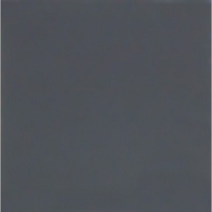 DECORATION PAINT BLACK LILY