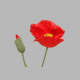 poppy with leaves color red length 75 cm