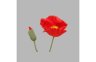 poppy with leaves color red length 75 cm