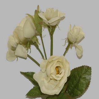 rose of silk per bunch color white length 80 cm
