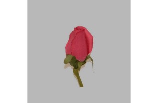 Rose of silk color old rose length 75 cm