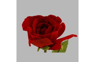 samtrose rose dark red length 60 cm