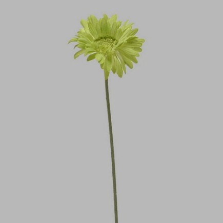 gerbera van zijde kleur groen lengte 65 cm