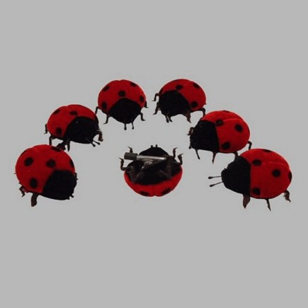 coccinelles de feutre 5 cm 7 pcs