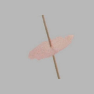 Chinese flower stem color pink length 90 cm