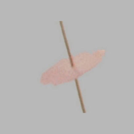 Chinese flower stem color pink length 90 cm