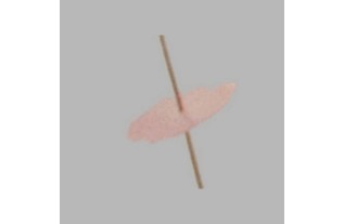 Chinese flower stem color pink length 90 cm