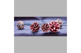 pinecone picks on gold-red