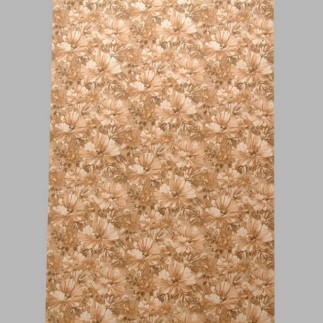Coupon papier peint 61 0525 NN