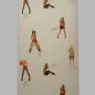 Dernier Rouleau de Papier Peint Spice Girls