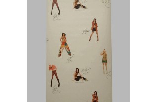 Dernier Rouleau de Papier Peint Spice Girls