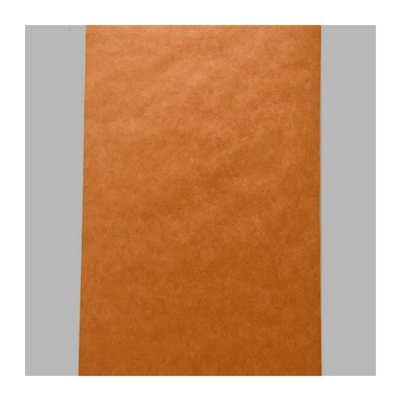 Coupon papier peint 61 0540 NN