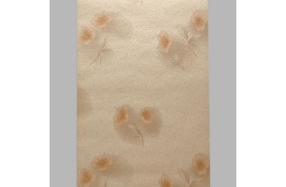 wallpaper coupon