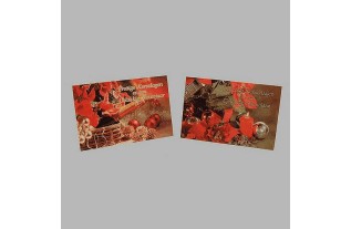 Christmas cards Champagne-Christmas candles 10 pcs with envelop