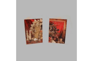 Christmas cards bear and framework 10 pieces with envelope